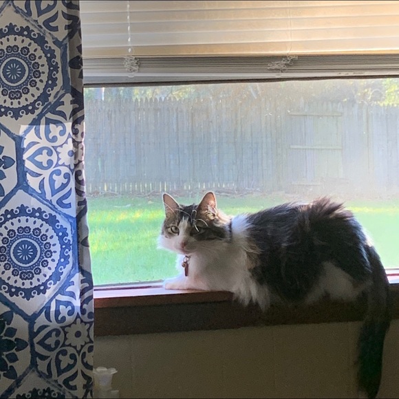 Meet your Posher, Kim - Picture 9 of 16